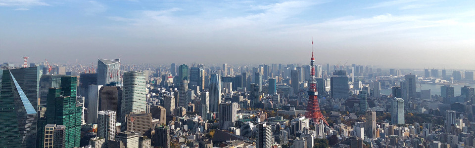 【函館市】相続税対策で不動産を活用するメリット・デメリットと活用事例